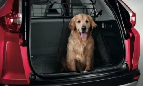 Honda launch Dog Walkers Car Accessory Packs